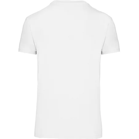 Herren Bio IC T-Shirt – Rückseite
