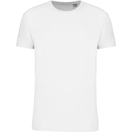 Herren Bio IC T-Shirt